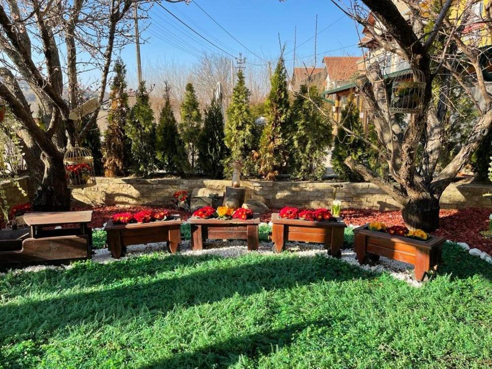 Vila Prezident Σρέμσκι Καρλόβτσι Εξωτερικό φωτογραφία